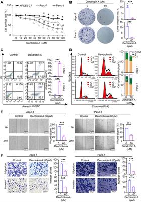 Integrated analysis of Dendrobium nobile extract Dendrobin A against pancreatic ductal adenocarcinoma based on network pharmacology, bioinformatics, and validation experiments